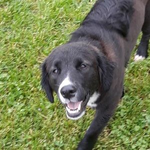 Meet your Posher, Grace